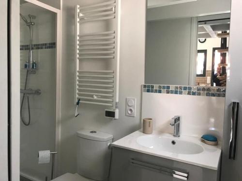 une salle de bain avec toilettes, lavabo et douche dans l'établissement Charmant Studio avec Terrasse et Parking - 4 Pers - Arcachon - FR-1-474-161, à Arcachon