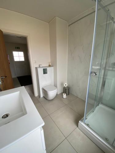 a bathroom with a toilet and a shower and a sink at Álftártunga Farm Guesthouse in Borgarnes