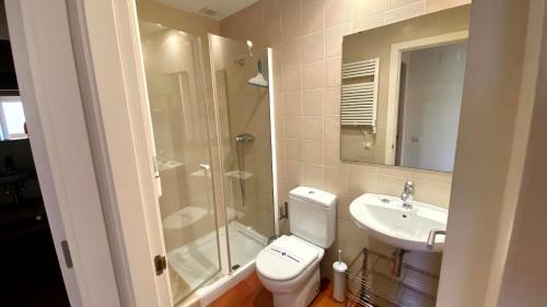 y baño con aseo, lavabo y ducha. en Acogedor apartamento con altillo MSJ 53, en Calafat