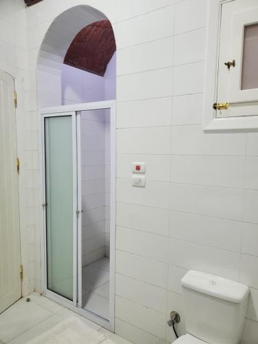 a bathroom with a shower and a toilet at Laila Flat in Al Aqālitah