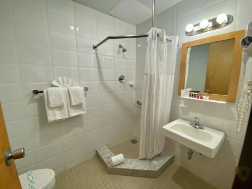 a bathroom with a shower and a sink and a toilet at Ficus Hotel in San Juan