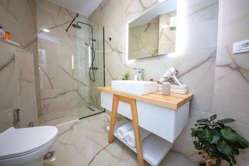 a bathroom with a sink and a shower and a toilet at Green Terrace Square View in Tirana
