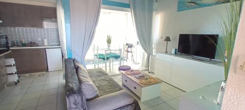 un salon avec un canapé et une télévision et une cuisine dans l'établissement ISIS 2 Joli duplex proche plage et port - CLIM PARKING LOGGIA ET BALCON, à Saint-Cyprien