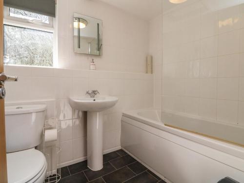 a bathroom with a toilet and a sink and a bath tub at Chalet Log Cabin C11 in Ilfracombe