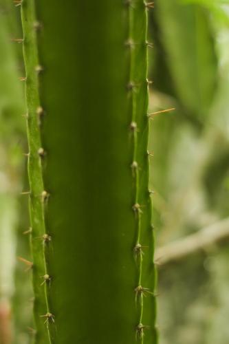 Fotografie z fotogalerie ubytování Passiflora Lodge Tambopata v destinaci Puerto Maldonado