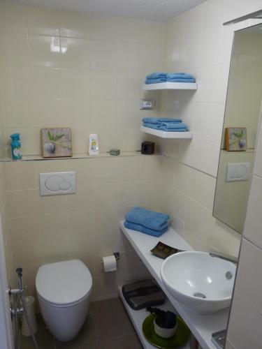 une salle de bain avec des toilettes blanches et un lavabo dans l'établissement Appartement vue mer domaine arboré, à Saint-Raphaël