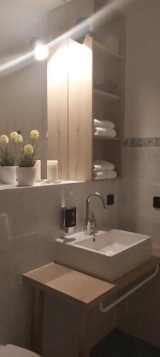 baño con lavabo, espejo y flores en Fewo am Plöner See, en Ascheberg