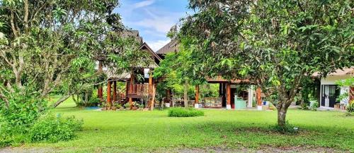 a house with a green yard with a tree at La Maison - Chiangmai in Mae Taeng