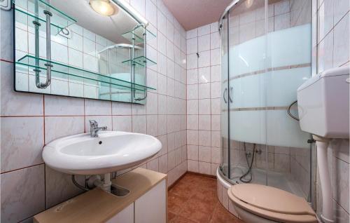 uma casa de banho com um lavatório, um WC e uma cabina de duche em vidro. em Pet Friendly Home In Brtonigla With Wifi em Brtonigla