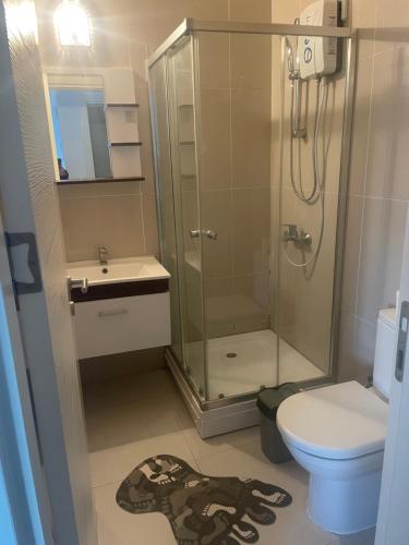 a bathroom with a shower and a toilet and a sink at New studio no2 in the middle off famagusta & NETFLIX in Famagusta