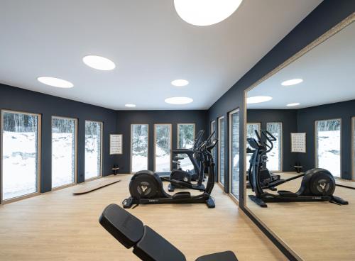 Palestra o centro fitness di Salzkammergut Lodge