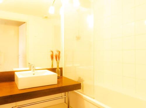 een badkamer met een witte wastafel en een spiegel bij Appartement Shakespeare 15 in Chaveignes