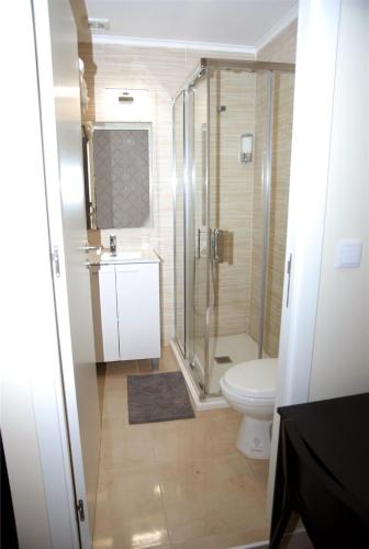 a bathroom with a shower and a toilet at Amor Lisboa Hostel in Lisbon