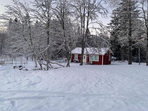 a red house in a snow covered yard with trees at Gästhus i Borås (Guest House) in Borås