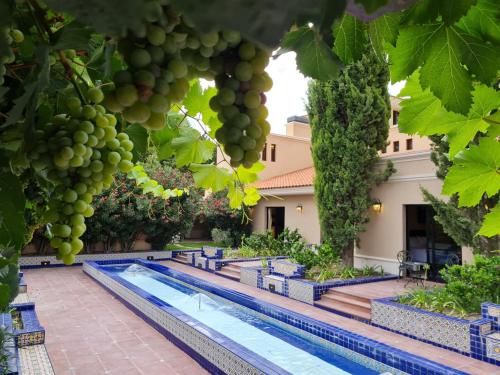 a villa with a pool and a bunch of grapes at Casa Agostino - Luxury wine resort in Mendoza