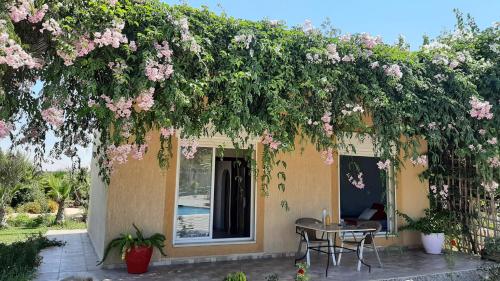 una casa con una mesa y flores rosas en Dar Beynana, en Sidi Bibi