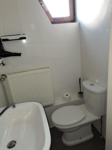 a white bathroom with a toilet and a sink at Ferienwohnung Gesindestube in Brotterode-Trusetal