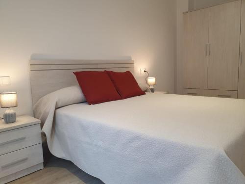 Postel nebo postele na pokoji v ubytování Apartamentos O Grove Centro