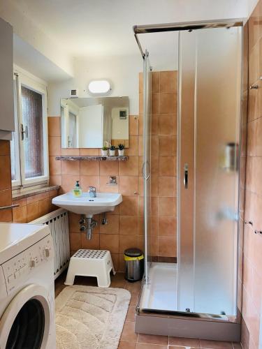 Ванная комната в Red Beech Cabin - Lake Bohinj & Triglav National Park retreat