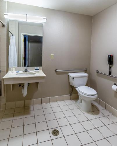 a bathroom with a toilet and a sink at SpringHill Suites by Marriott Fairbanks in Fairbanks