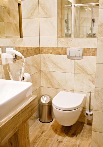 a bathroom with a toilet and a sink at Uzdrowisko Cieplice - Jelenia Góra - Długi Dom in Jelenia Góra