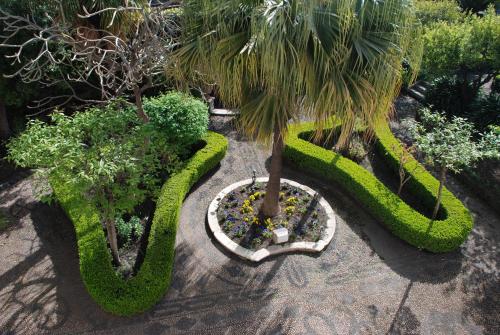 a garden with a palm tree and some plants at B&B Villa Maria in Giarre