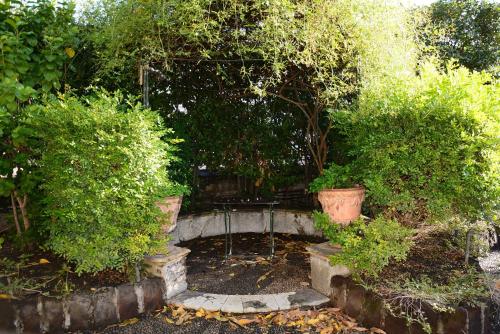 a garden with a bench and some bushes at B&B Villa Maria in Giarre