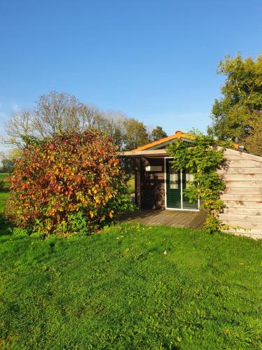 a house with a wooden deck and a bush at Eysingastate in Rinsumageest
