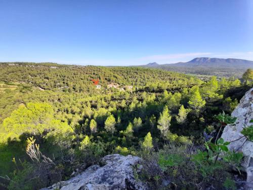 - une vue depuis le sommet d'une montagne arborée dans l'établissement Une chambre en Provence, à Correns