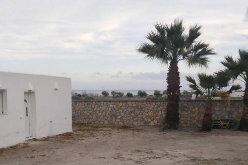 a palm tree next to a stone wall at Sea Sound Villa Perivolos beach in Agios Georgios Thalassiti