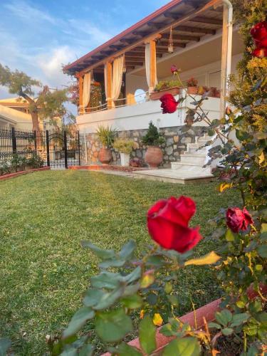 Beautiful beach house