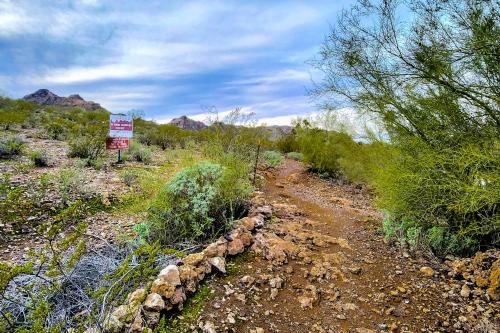 Desert Oasis – Photos 3