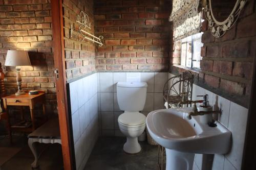 a bathroom with a toilet and a sink at Wolvekraal Guest Farm in Prince Albert