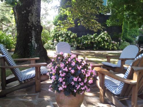 a group of chairs and a pot of flowers at La Cerisaie - Chambres d'hôtes & gites in Riols