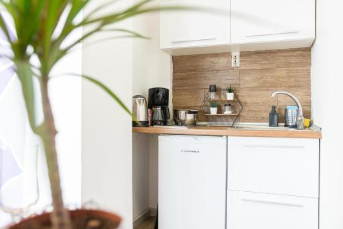 Η κουζίνα ή μικρή κουζίνα στο Modern Karpos Apartments
