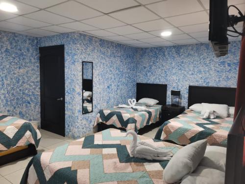 two beds in a room with blue wallpaper at Hotel Palmera Real Hot Springs in Fortuna