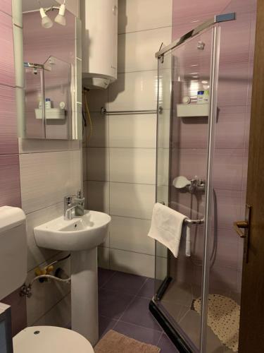 W łazience znajduje się umywalka, toaleta i prysznic. w obiekcie Lion Apartment - close to Prishtina center w Prisztinie