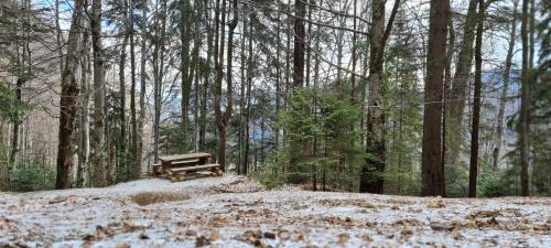 a wooden bench sitting in the middle of a forest at Casa Chiper - Attic apartment with view in Braşov