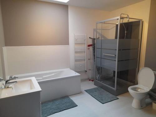 ein Bad mit einer Dusche, einem WC und einem Waschbecken in der Unterkunft Maison de 100M2 avec terrasse in Wardrecques