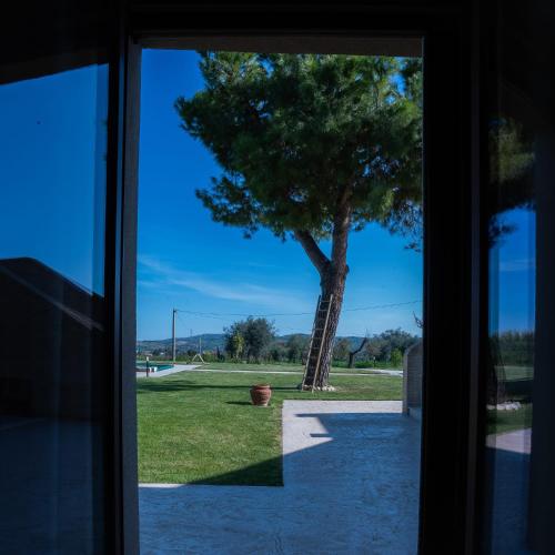 a window view of a tree from a house at Casale Ferrantino in Giulianova