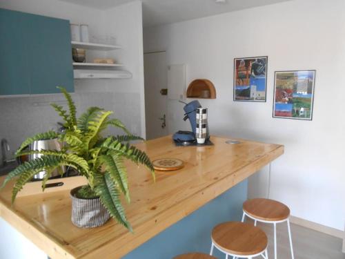 une cuisine avec un comptoir en bois et une plante en pot dans l'établissement Appartement à la plage, à Argelès-sur-Mer