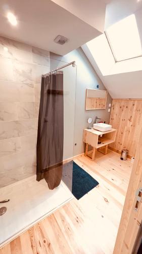 une salle de bain avec douche et lavabo dans l'établissement La Grange de Grandviala, à La Chaze-de-Peyre