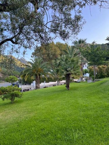 un parco con palme e erba verde di Wanderlust Guesthouse a Lamezia Terme