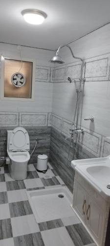 a bathroom with a toilet and a sink at Marina in Sohar