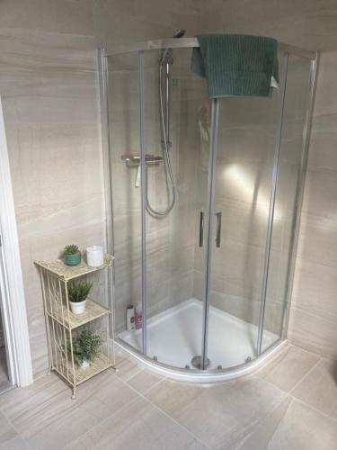 a shower with a glass door in a bathroom at Alma’s retreat in Drogheda