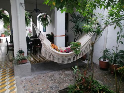 a hammock in the courtyard of a house with plants at Casa Paraiso in Honda