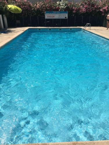 une grande piscine avec de l'eau bleue dans l'établissement Très beau studio au Grau du Roi tout équipé 33m2, au Grau-du-Roi