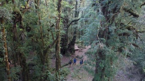 two people walking down a trail in a forest at Lodge Parque Tepuhueico in Castro