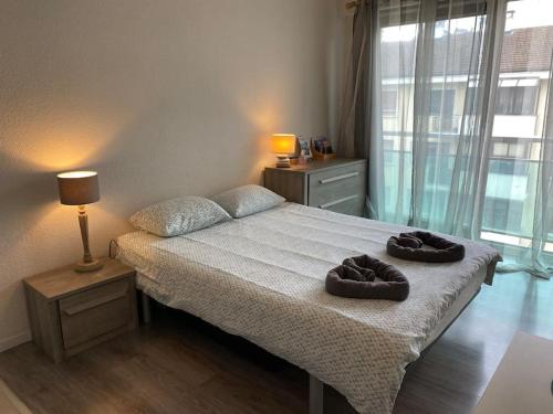 les marmottes du lac