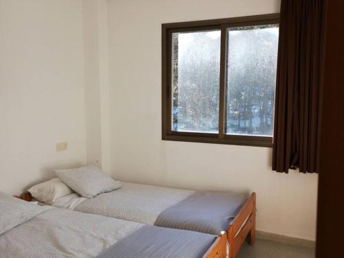1 dormitorio con 2 camas y ventana en Apartamento a 200 metros de Port del Comte SKI, en La Coma i la Pedra